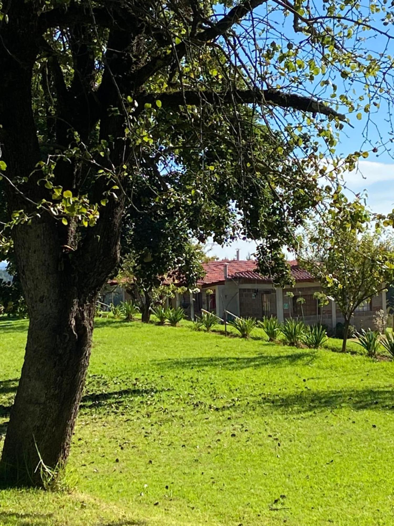 Cabanas Huerta La Mision, Zacatlán Eksteriør billede